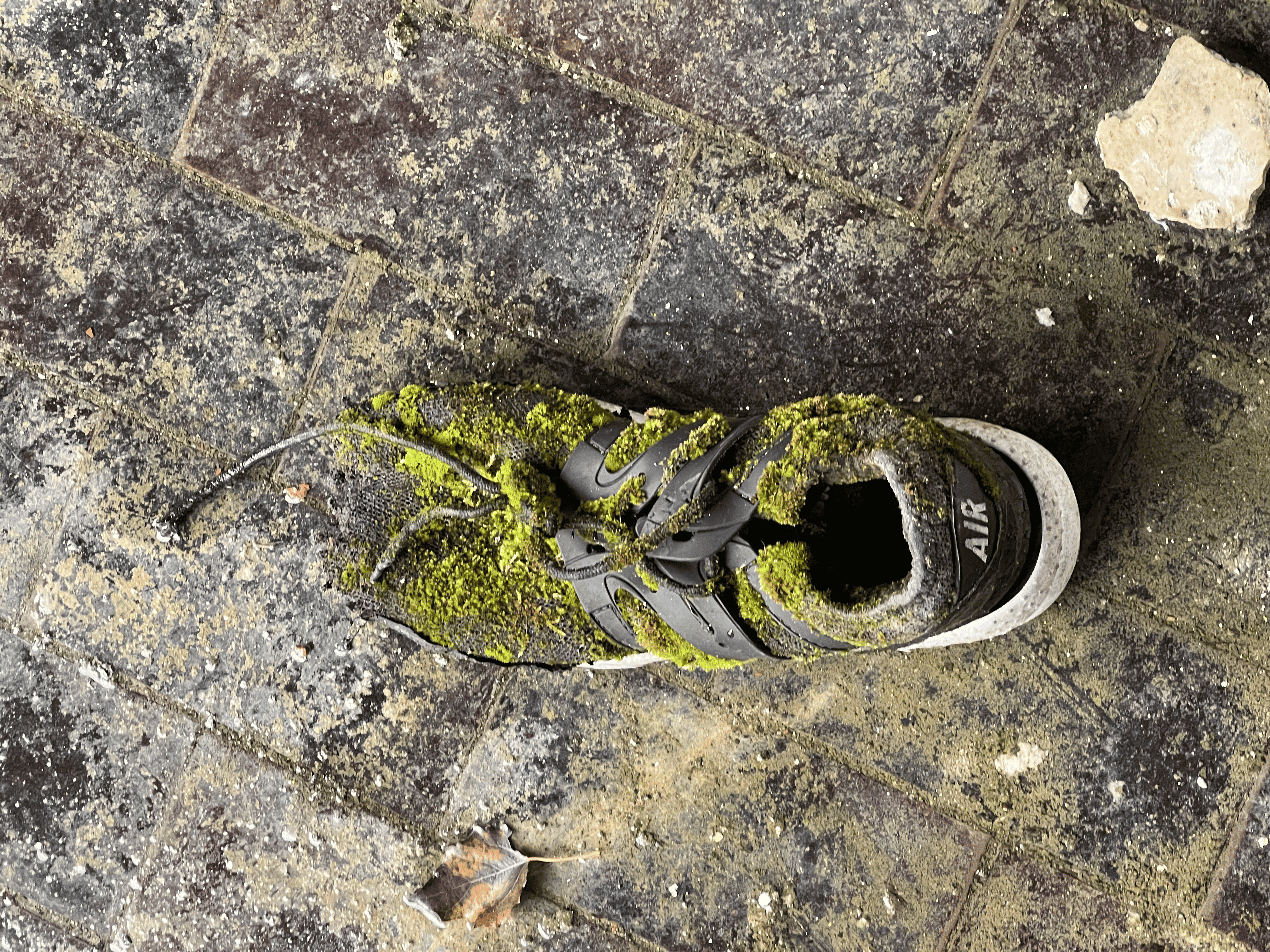 Chaussure en décomposition