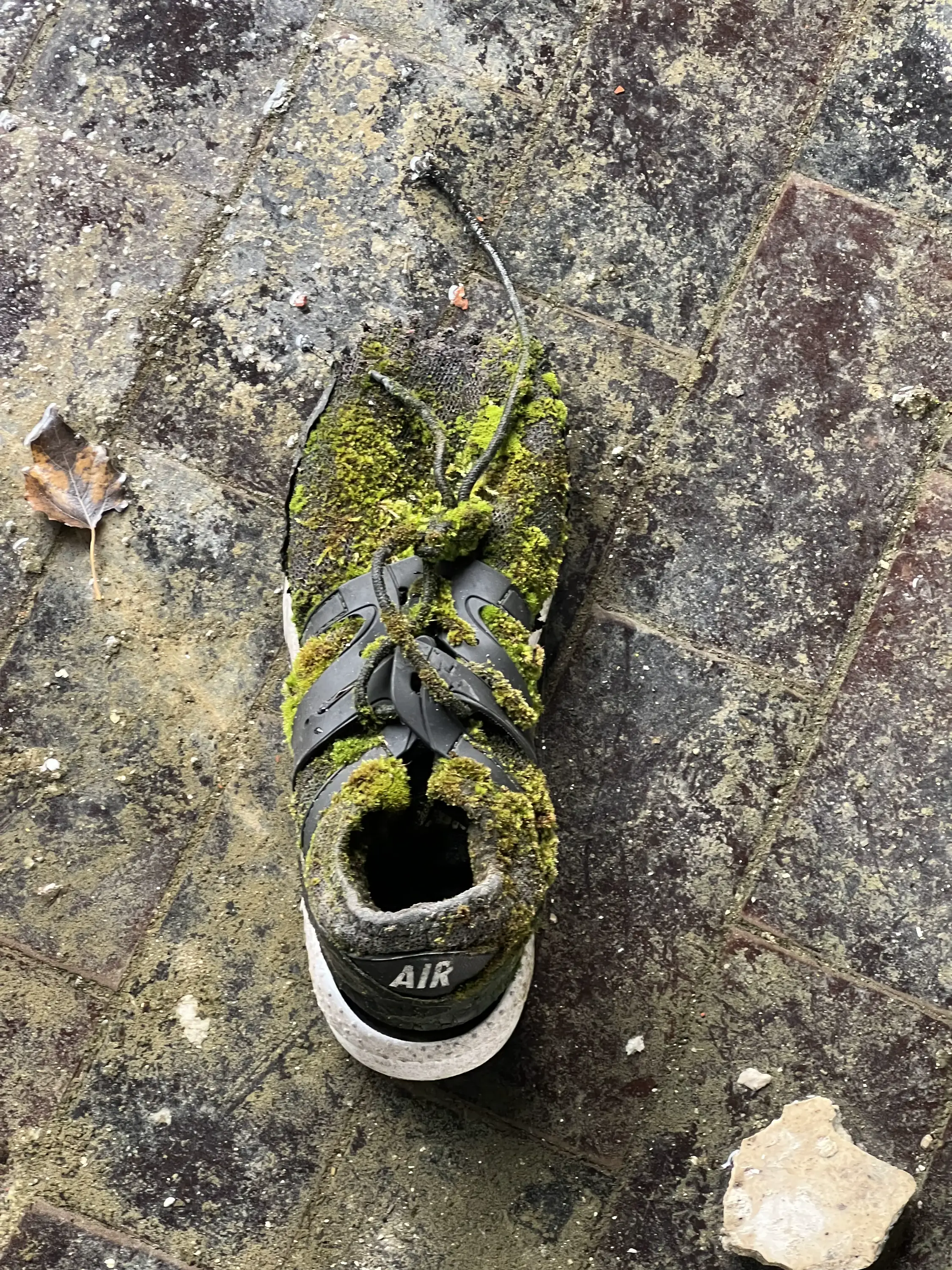 Déchets photographiés sur un site urbex